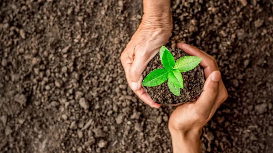 RENEWABLE PACKAGING AND RECYCLING